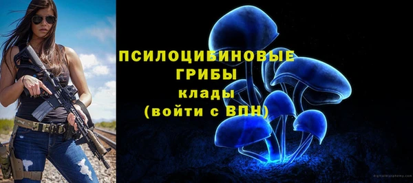марки lsd Верхний Тагил