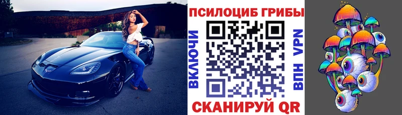 Галлюциногенные грибы Psilocybe  ОМГ ОМГ маркетплейс  Екатеринбург  цены  